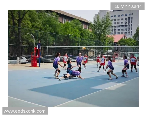 北京排球队在精英赛中的比赛经验与表现分析