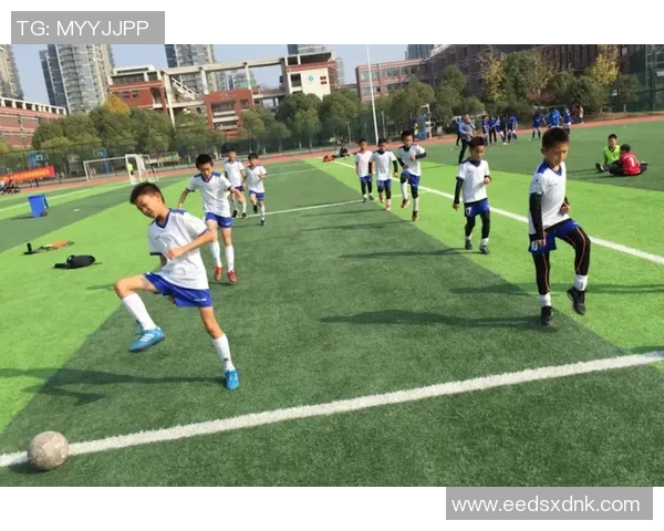 南京足球队总决赛精彩表现分析与实力评估 南京足球队总决赛精彩表现分析与实力评估