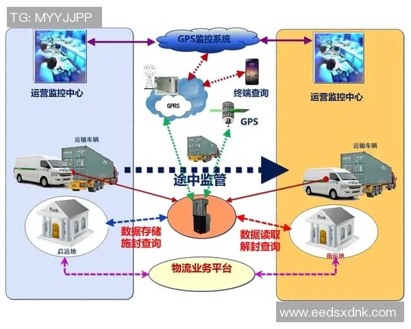 北京乒乓球队运营体系中的战术分析与实践探索 北京乒乓球队运营体系中的战术分析与实践探索