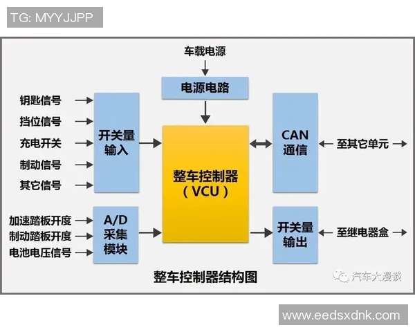 南京篮球队的控制策略分析与未来发展展望