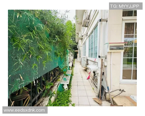 国内足球明星豪华别墅出租体验奢华生活尽享足球魅力