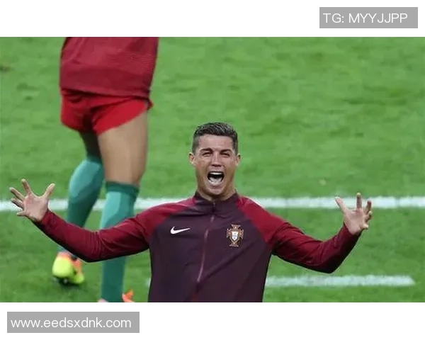 广州排球队在欧锦赛中的拼搏历程与荣耀时刻回顾