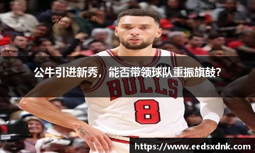 公牛引进新秀，能否带领球队重振旗鼓？