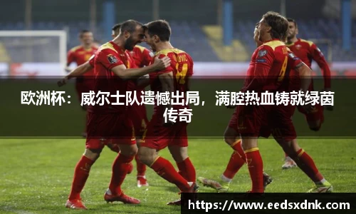 欧洲杯：威尔士队遗憾出局，满腔热血铸就绿茵传奇