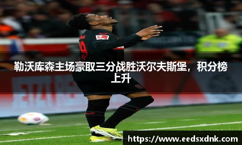 勒沃库森主场豪取三分战胜沃尔夫斯堡，积分榜上升