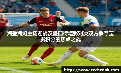 海登海姆主场迎战汉堡期待精彩对决双方争夺宝贵积分的焦点之战