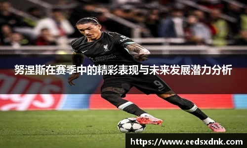 努涅斯在赛季中的精彩表现与未来发展潜力分析